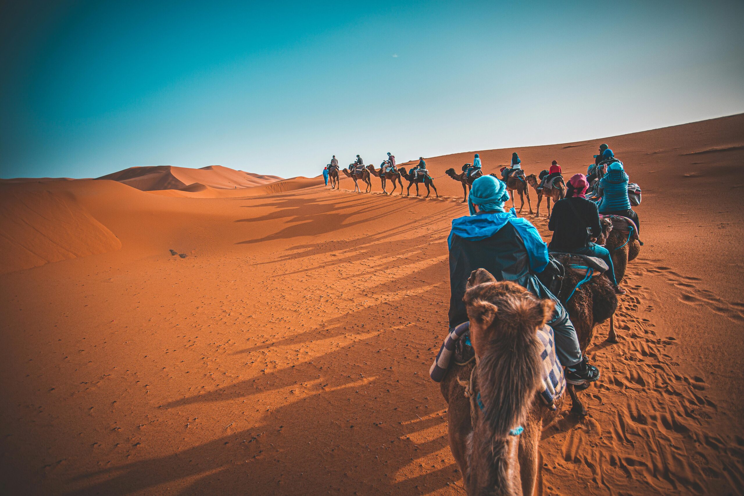 A caravan of camels in Merzouga